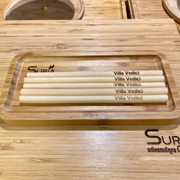 Bamboo Straws Logo