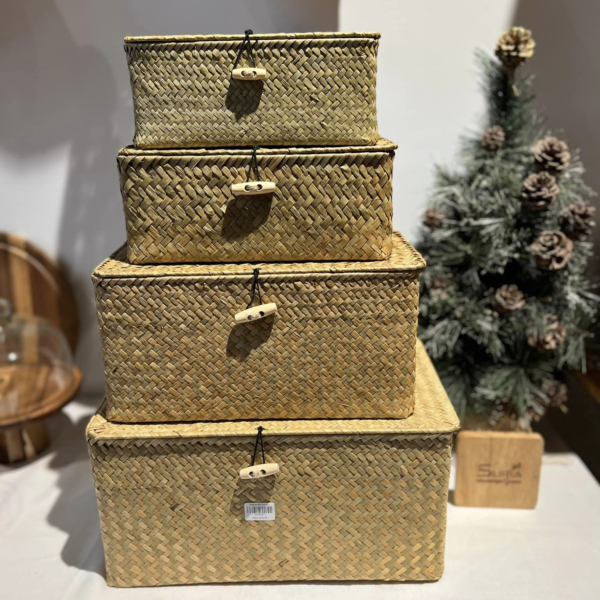 Seagrass Box Set of 4